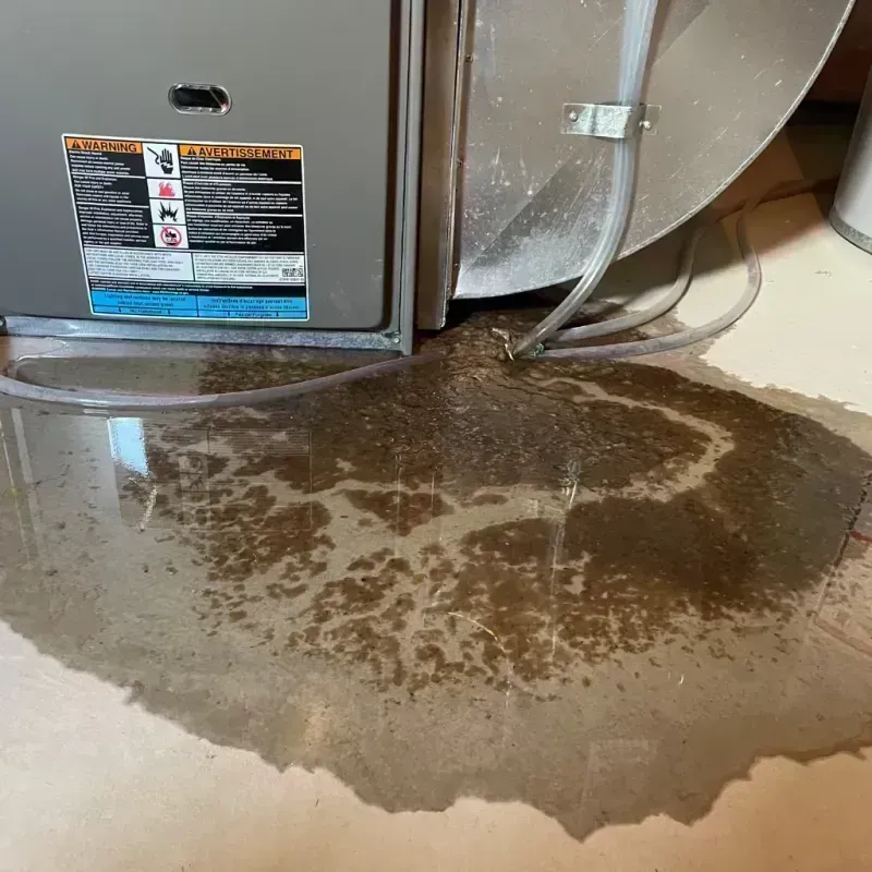 Appliance Leak Cleanup in Barnhart, MO